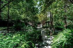 Martin Modern (D9), Condominium #556116591